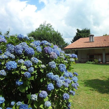 B&B Cuei Di Baret Tricesimo Екстериор снимка