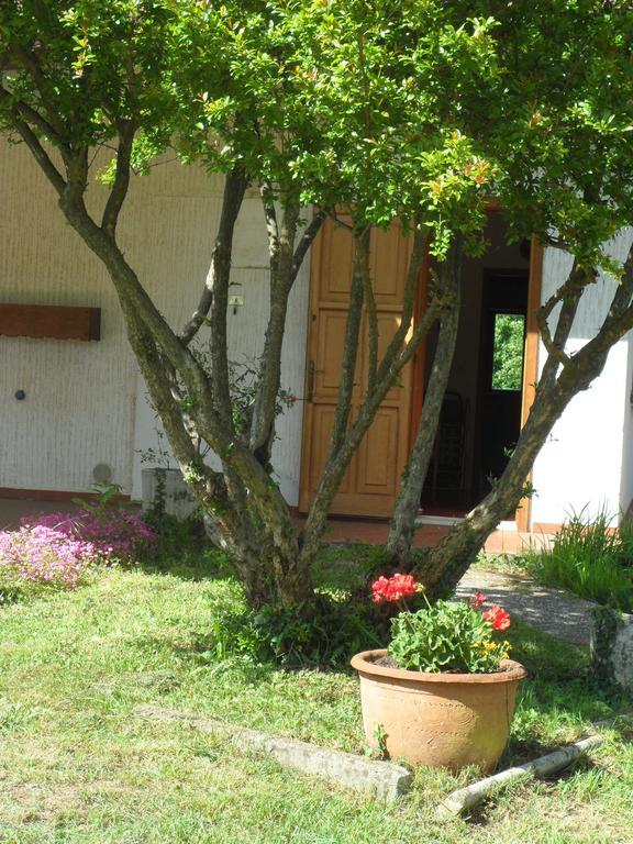 B&B Cuei Di Baret Tricesimo Екстериор снимка
